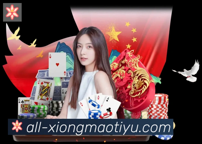 未来规划